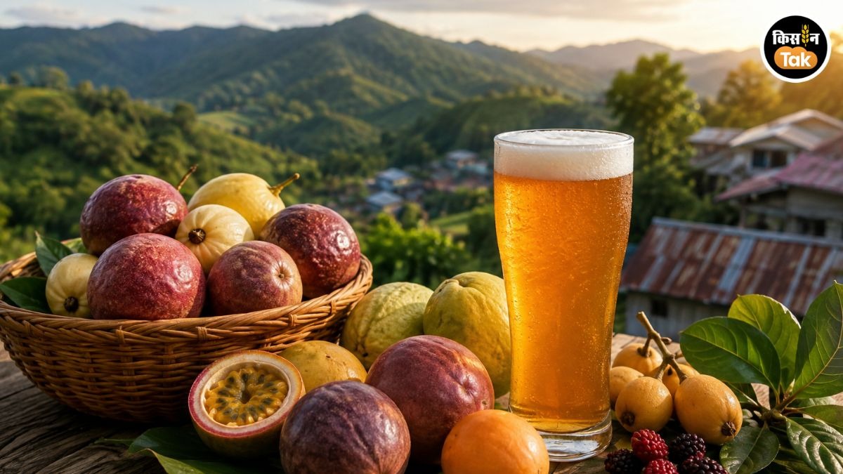 Mizoram Fruit Beer