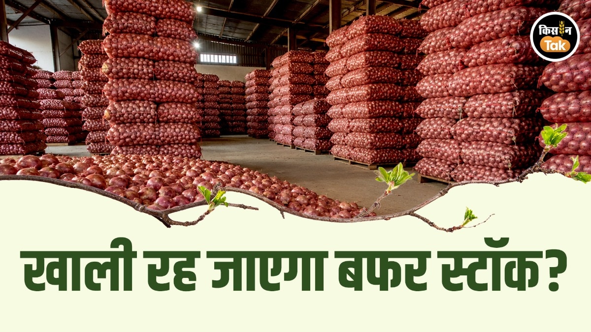 onion buffer stock