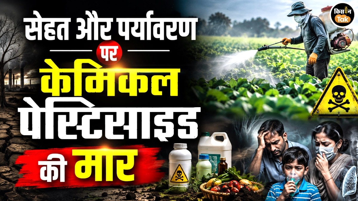 खेती में  केमिकल पेस्टिसाइड का अंधाधुंध इस्तेमाल: