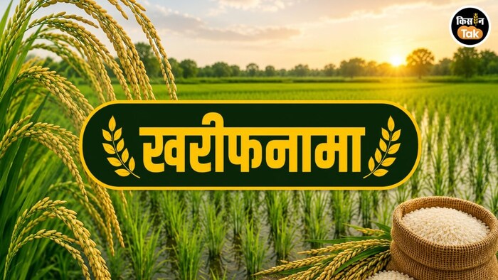 धान की बुवाई में देरी