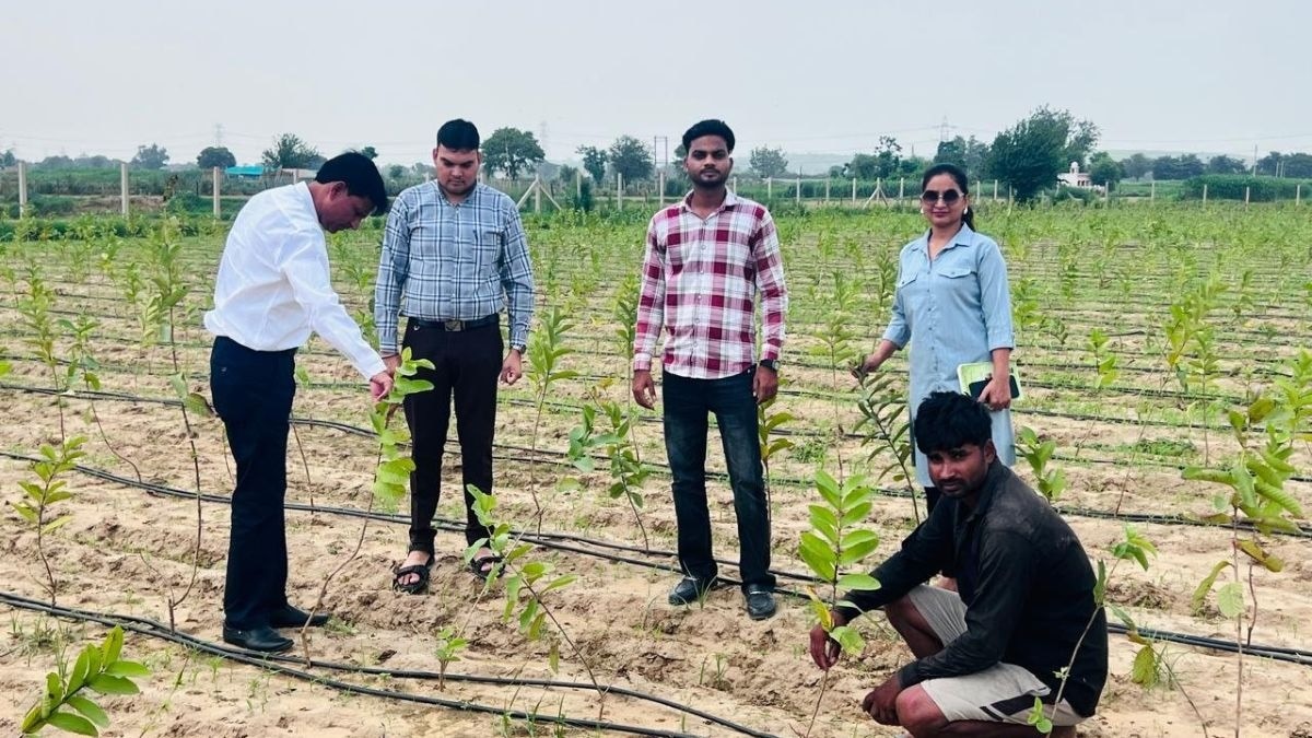 नूंह में बागवानी का बढ़ता दायरा