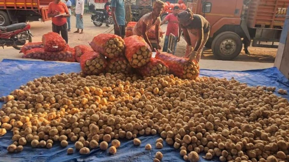 Potato Rate Crisis: यूपी में आलू के ये 10 करोड़ पैकेट भी किसानों के ही हैं, जानें क्या है मामला Potato Rate Crisis: यूपी में आलू के ये 10 करोड़ पैकेट भी किसानों के ही हैं, जानें क्या है मामला