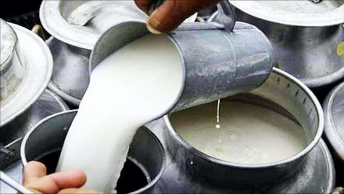 यूपी में दूध कारोबार का नया दौर