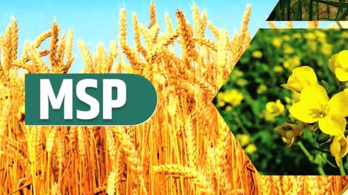 MSP से कम हुआ फसल का भाव तो सरकार देगी सहारा