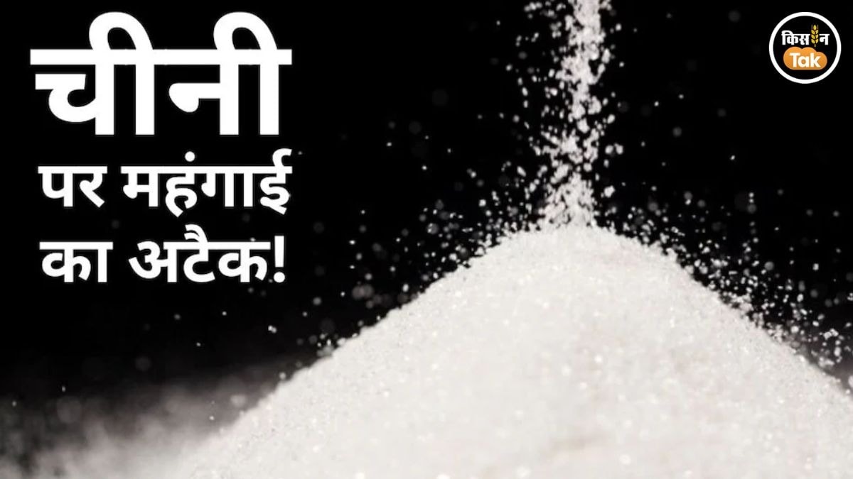 चीनी के बढ़ते दामों ने बिगाड़ा रसोई का बजट, त्योहारों से पहले और महंगी होने की आशंका