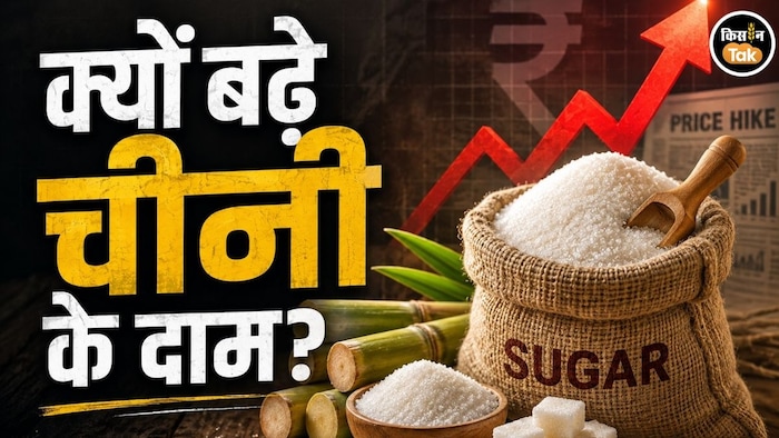 चीनी के क्यों बढ़ रहे हैं दाम