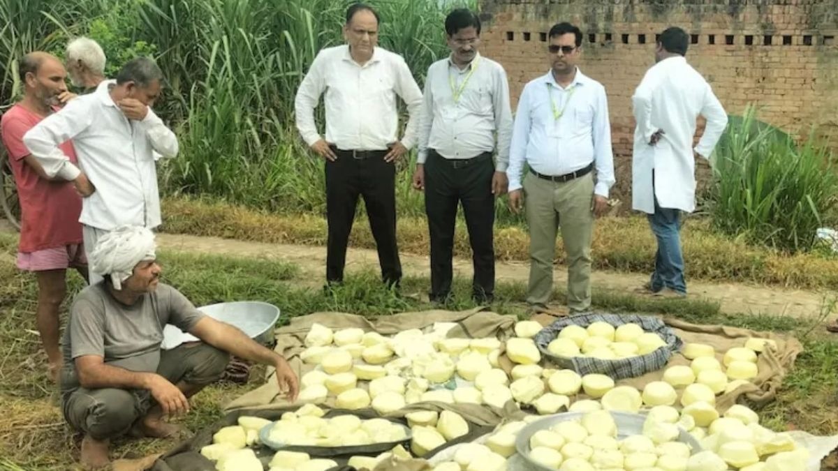पकड़ा गया 400 किलो मावा
