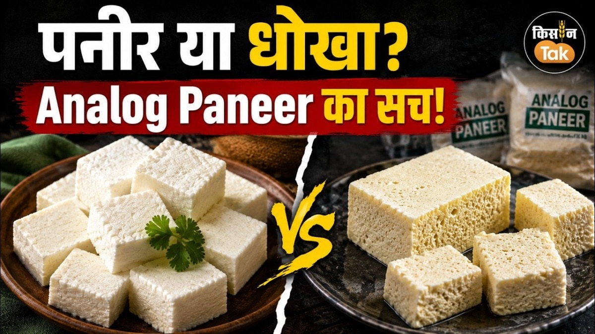 Maharashtra Analog Paneer Ban