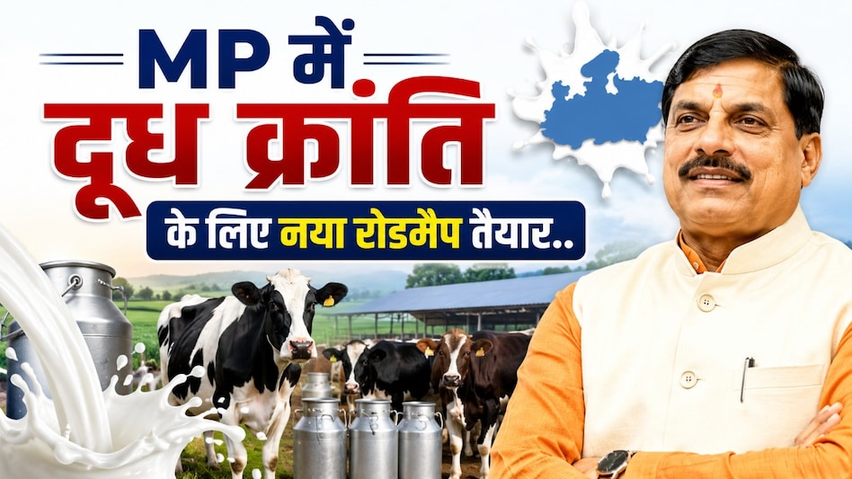 MP में दूध क्रांति की तैयारी! NDDB से करार, 1 लाख गिर बछिया और युवाओं के लिए नया रोडमैप MP में दूध क्रांति की तैयारी! NDDB से करार, 1 लाख गिर बछिया और युवाओं के लिए नया रोडमैप