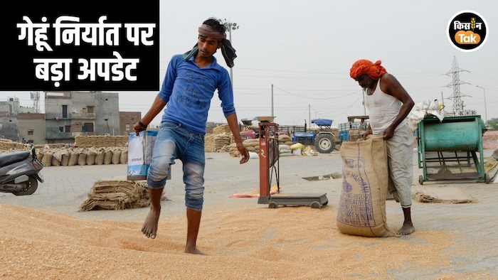 Wheat Export Open