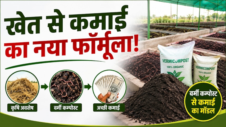 खेत से कमाई का नया फॉर्मूला! बीना के विवेक दुबे 100+ बेड से बनाएंगे रोज 1 टन जैविक खाद खेत से कमाई का नया फॉर्मूला! बीना के विवेक दुबे 100+ बेड से बनाएंगे रोज 1 टन जैविक खाद