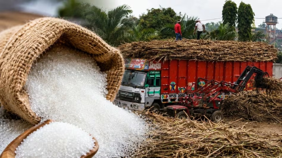 Sugar Price Hike Reason