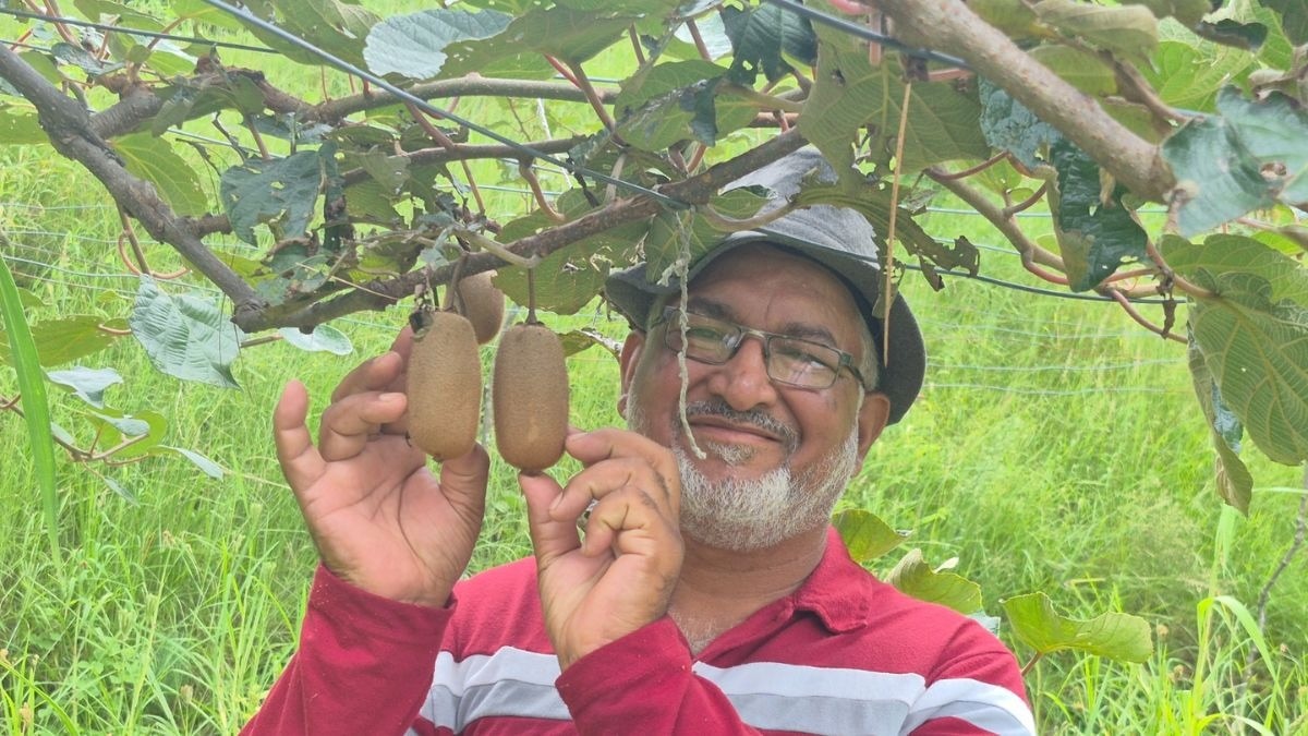 फल से लेकर सब्जी तक की खेती कर रहे चंद्रशेखर