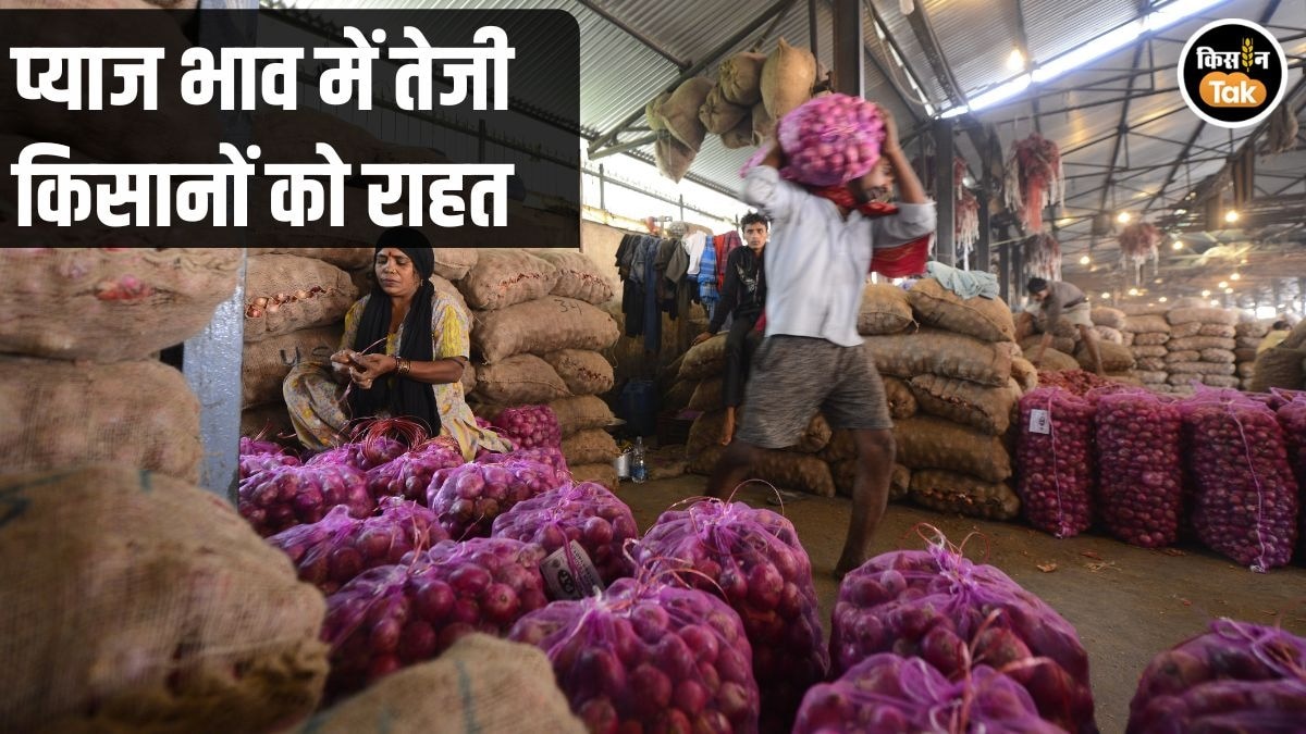 Onion Price Hike