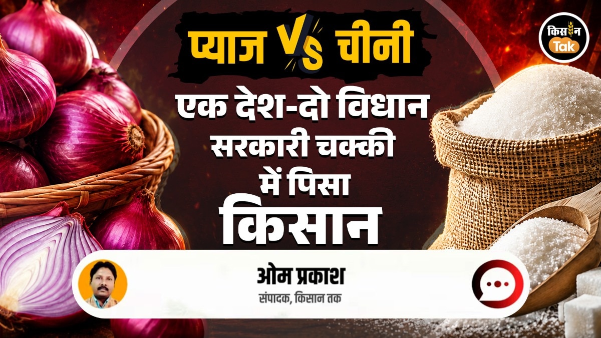 onion vs sugar inflation govt actions