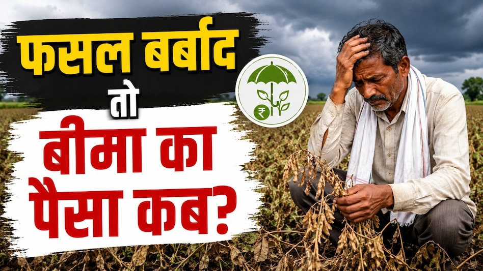 फसल बीमा का प्रीमियम भर रहे MP के किसान, फिर भी क्लेम को लेकर क्यों उठ रहे सवाल? फसल बीमा का प्रीमियम भर रहे MP के किसान, फिर भी क्लेम को लेकर क्यों उठ रहे सवाल?