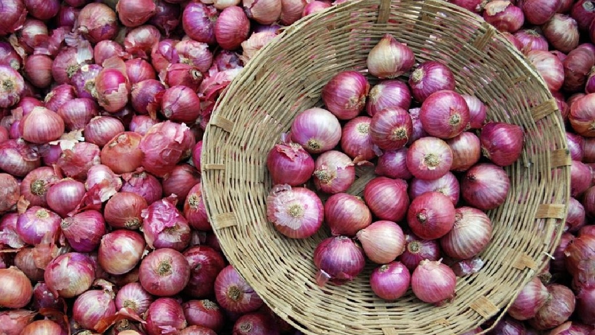 Onion Price: 35 रुपये किलो प्याज बेचने उतरी सरकार, दिल्ली में शुरू हुई बफर स्टॉक से बिक्री