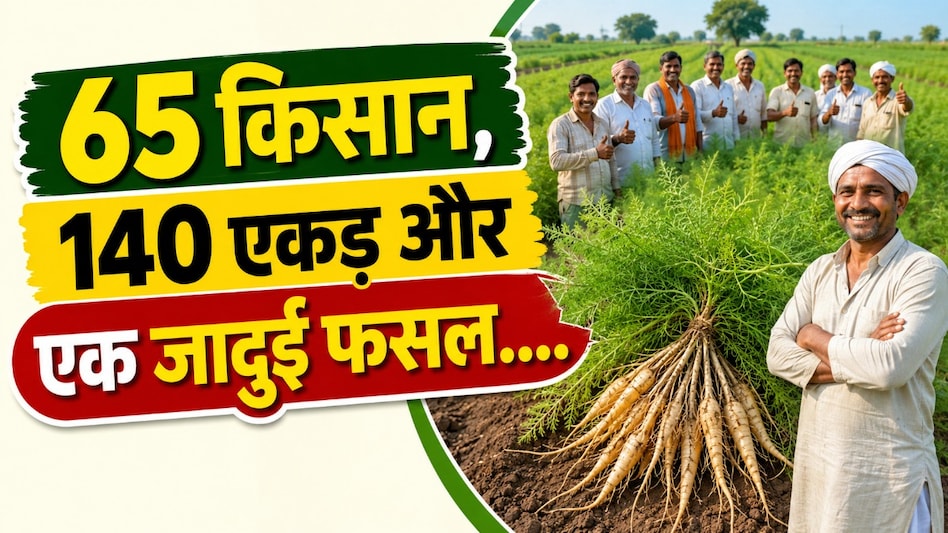 कम पानी, आधी लागत, दोगुना मुनाफा! छत्तीसगढ़ के किसानों का 'सतावर मॉडल' वायरल कम पानी, आधी लागत, दोगुना मुनाफा! छत्तीसगढ़ के किसानों का 'सतावर मॉडल' वायरल