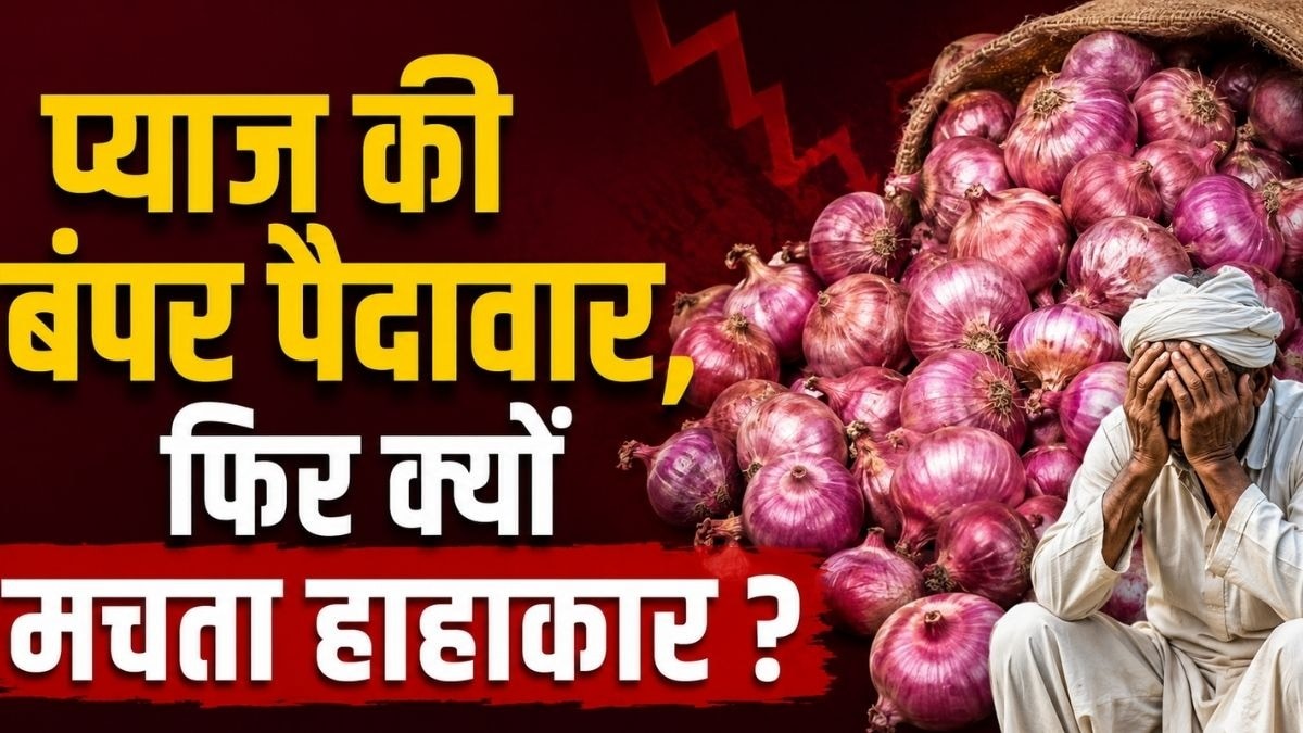 Onion Crisis: Millions of Tonnes Rotting While Prices Soar