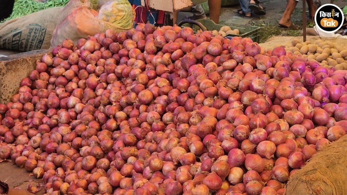 Okhla mandi onion rate