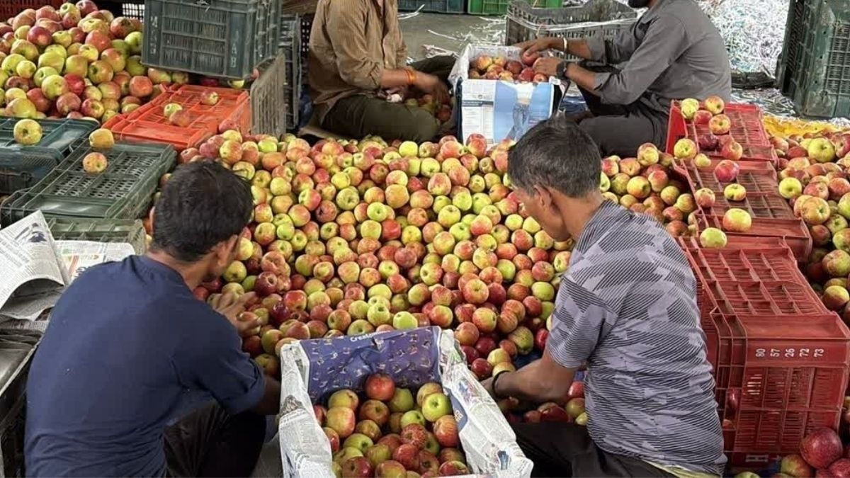 सेब किसानों का बकाया