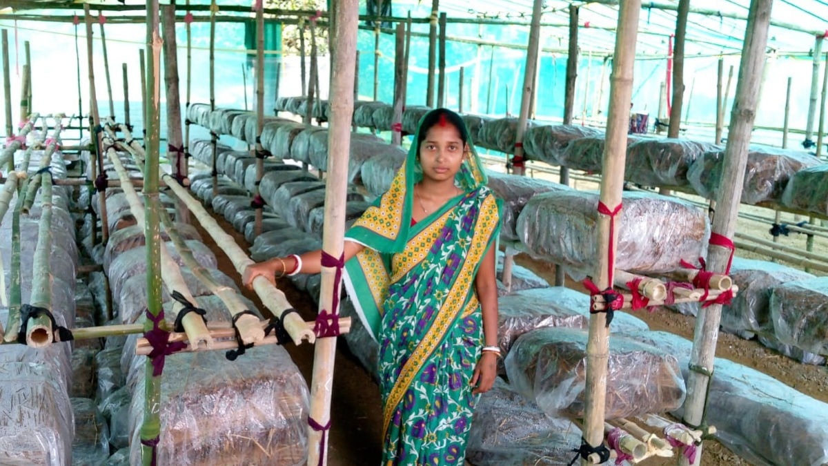 Mushroom Revolution: मशरूम उगाने में बिहार बना देश का नंबर-1 राज्य, 10 साल में 700 गुना से ज्यादा बढ़ा उत्पादन