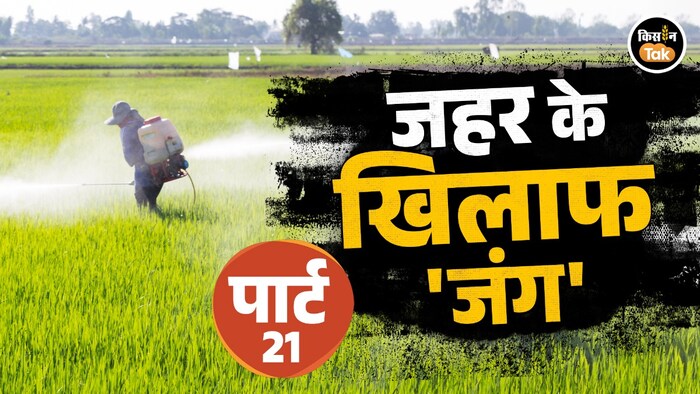chemical contamination in food