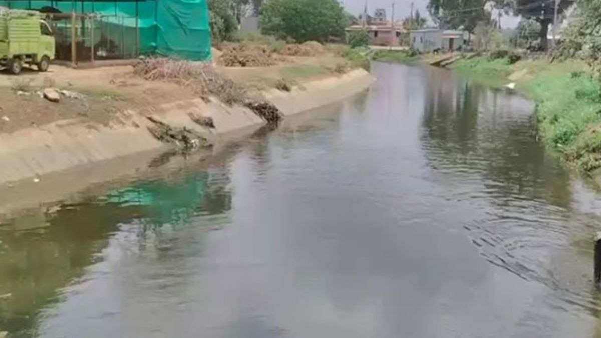 नहर में आया पानी तो खेतों में लौटी रौनक