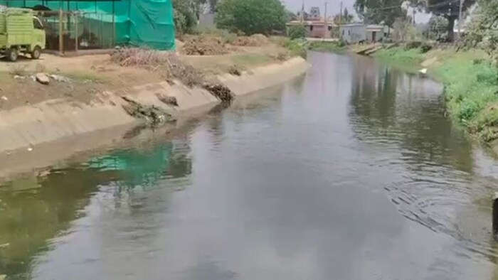 नहर में आया पानी तो खेतों में लौटी रौनक