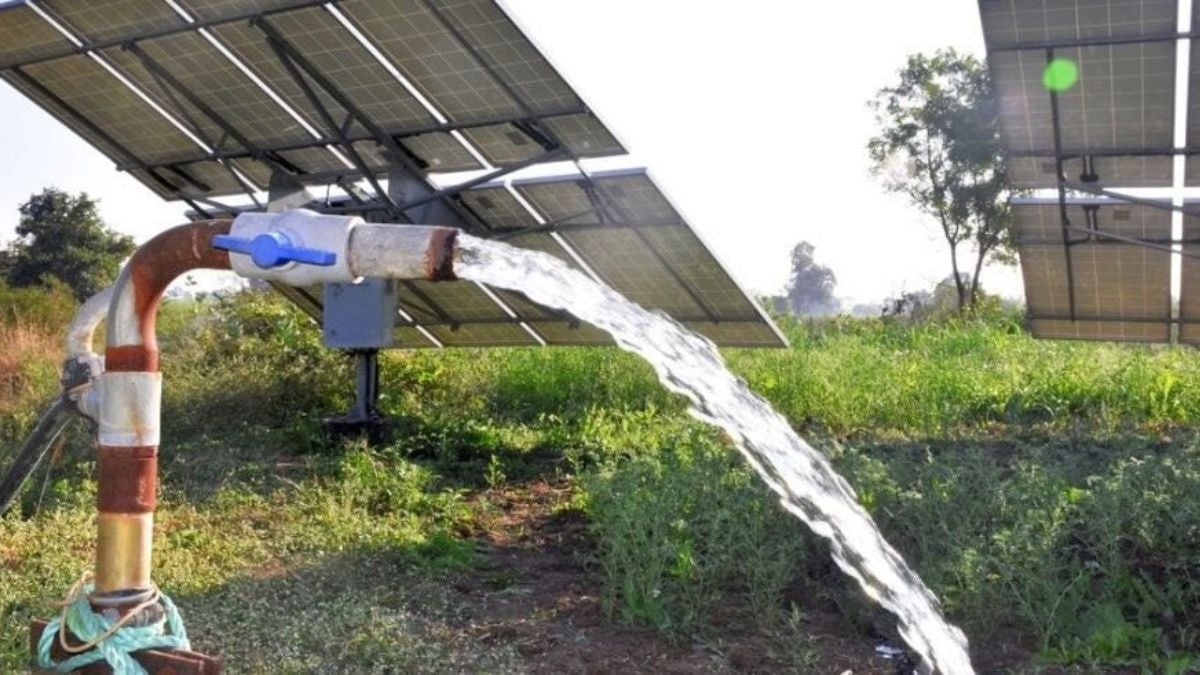 राजस्थान के किसानों की बल्ले-बल्ले!