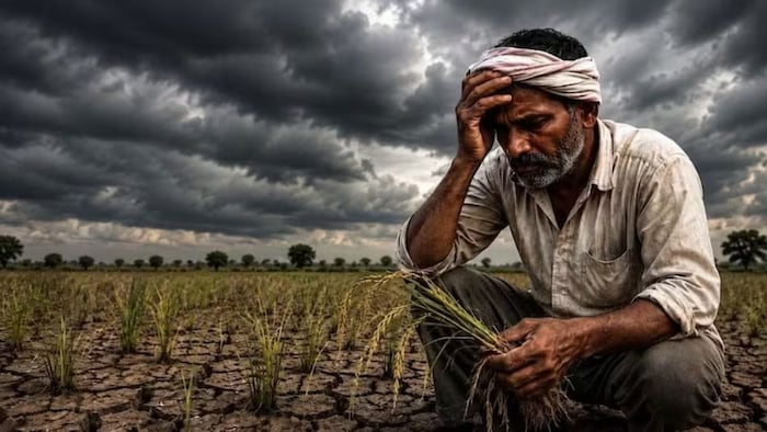 गुजरात में कम बारिश से बढ़ी चिंता