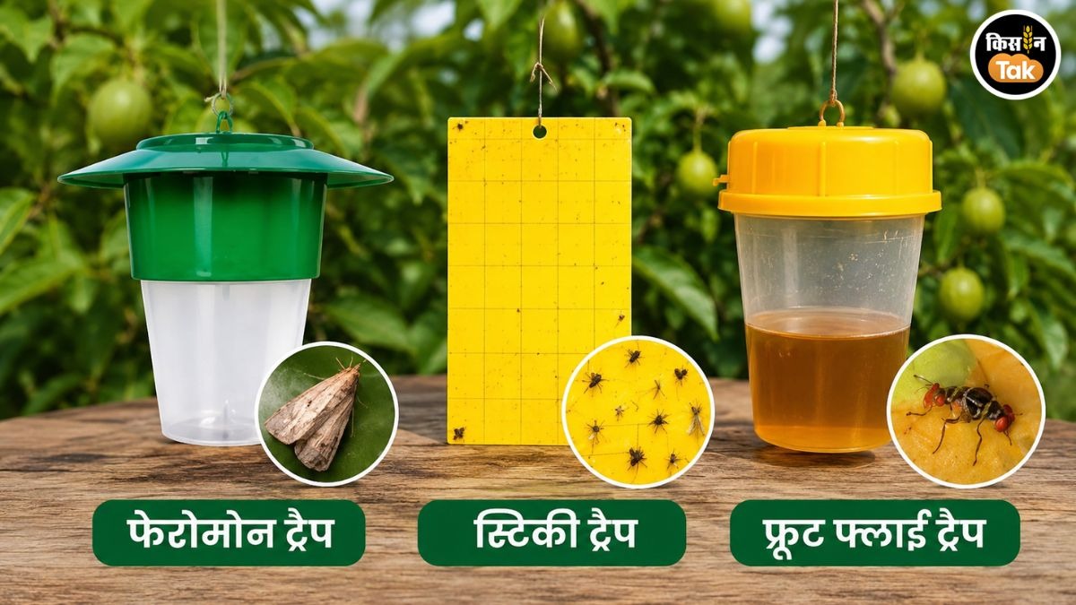 ट्रैप पर मिलेगी 75% सब्सिडी
