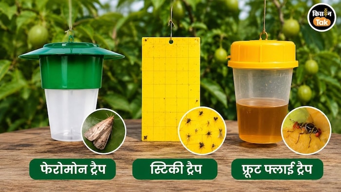 ट्रैप पर मिलेगी 75% सब्सिडी
