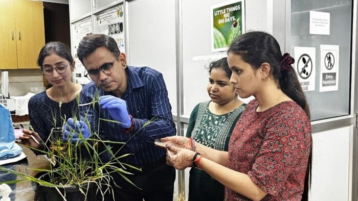 BHU वैज्ञानिकों की बड़ी खोज