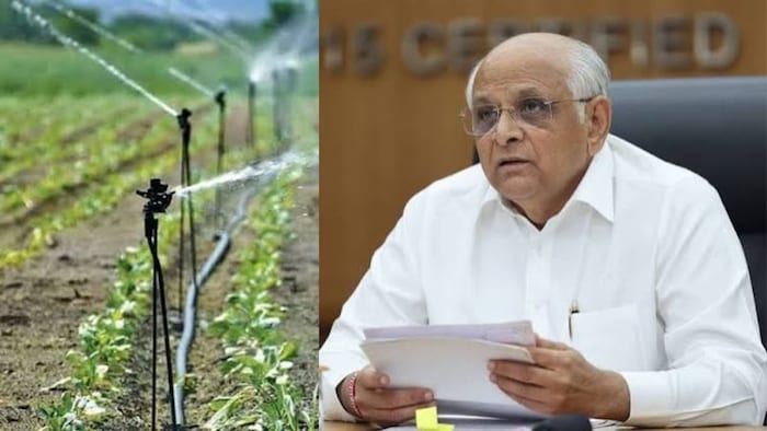 मुख्यमंत्री भूपेंद्र पटेल