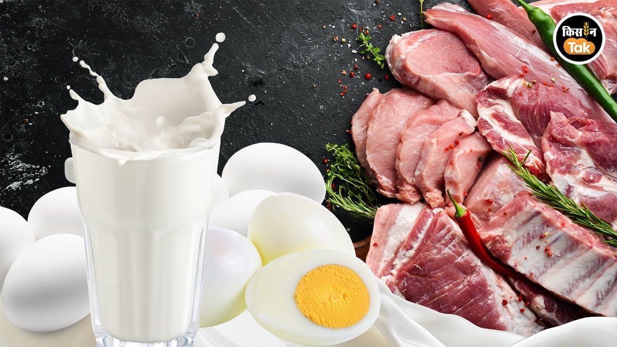 Nutrition Month: प्रोटीन की डिमांड ने देश को दूध-मीट, अंडा उत्पादन में बनाया नंबर वन 