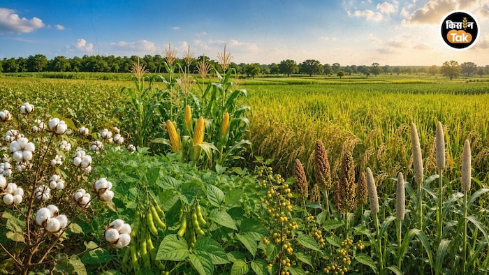 kharif sowing Progress