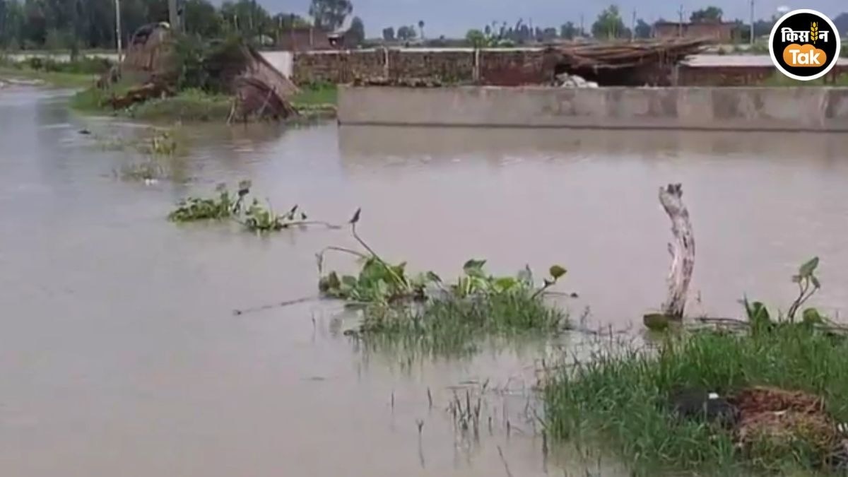 Farrukhabad Flood