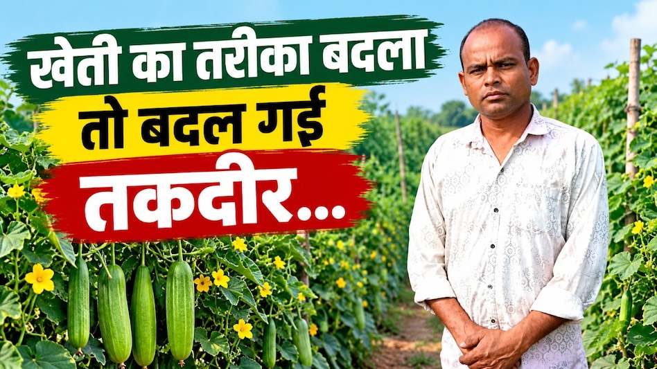 सिर्फ 2 फसलों से लखपति बना यह किसान, जानिए मॉडर्न खेती का पूरा गणित सिर्फ 2 फसलों से लखपति बना यह किसान, जानिए मॉडर्न खेती का पूरा गणित