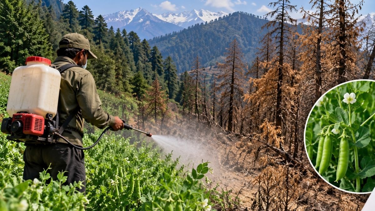himachal glyphosate ban demand