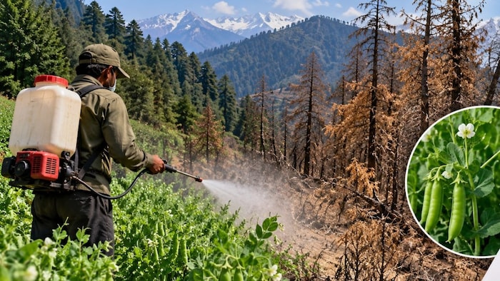 himachal glyphosate ban demand