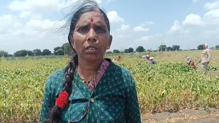 Marathwada Drought