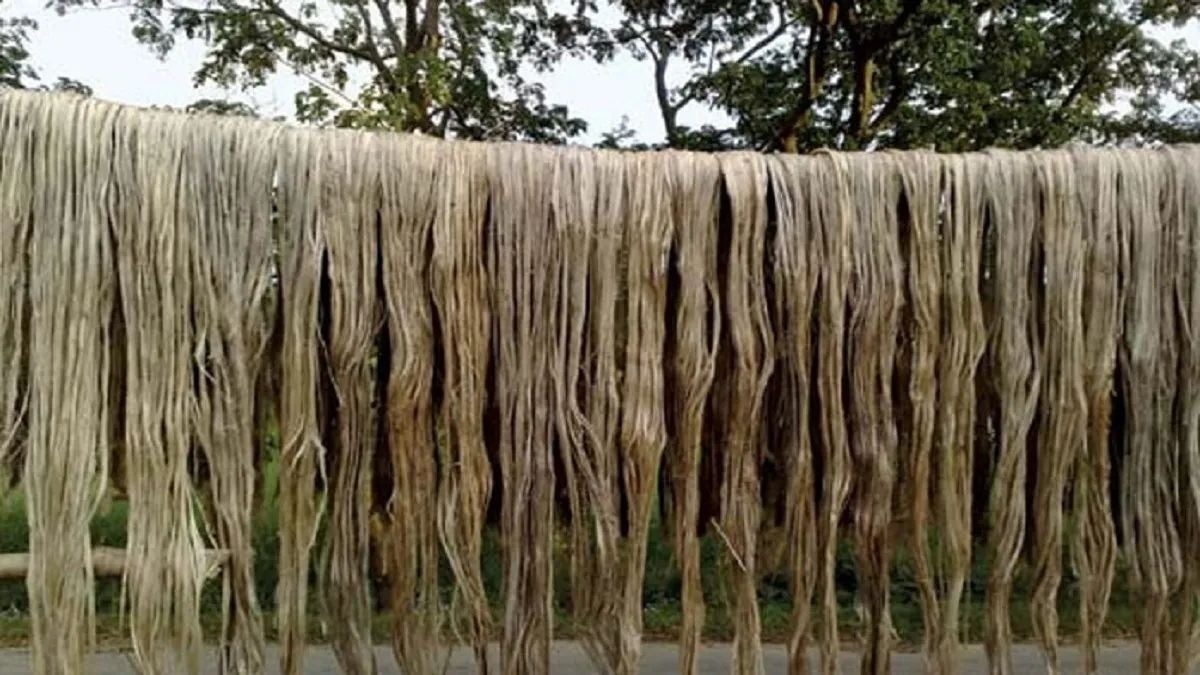 जूट मिल कर्मचारियों को मिलेगा बोनस