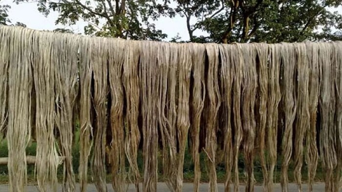 जूट मिल कर्मचारियों को मिलेगा बोनस