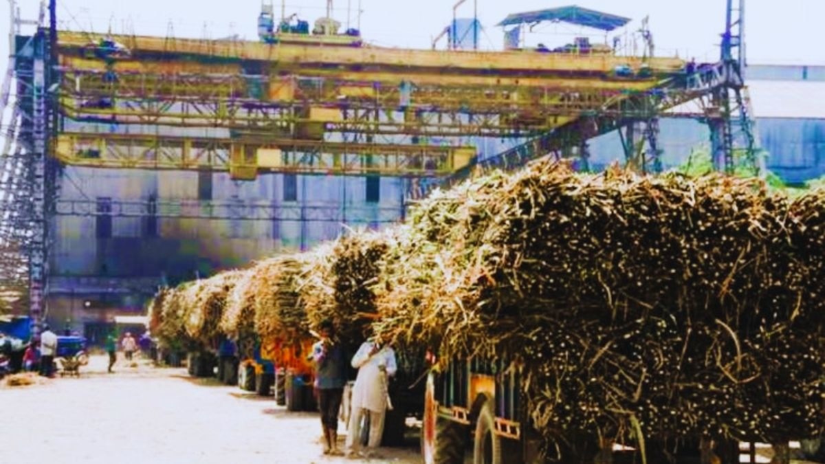sugar mill