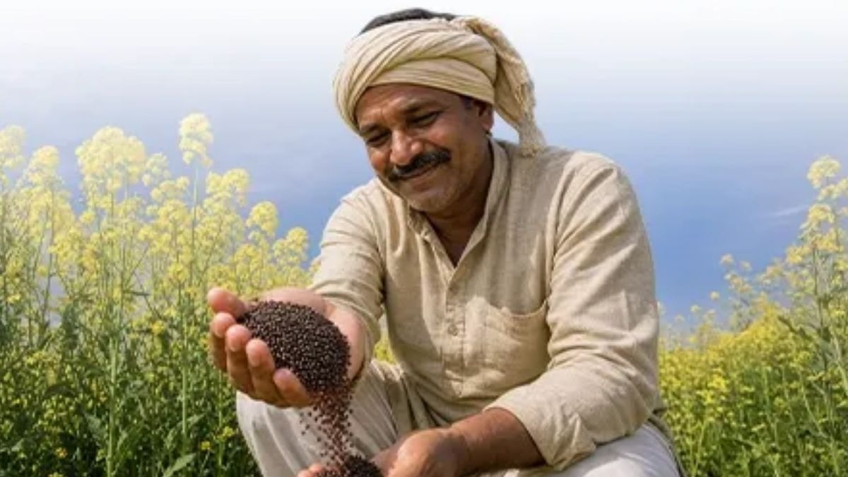 किसानों को बांटी गईं मुफ्त तोरिया बीज मिनीकिट
