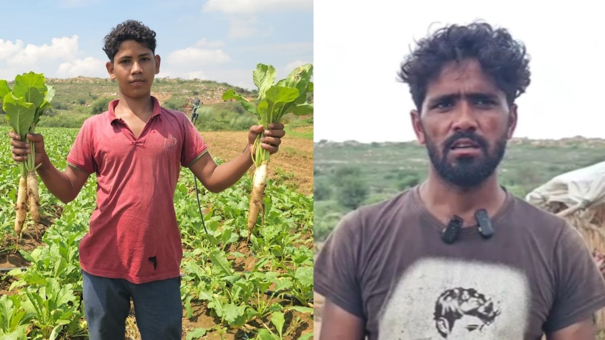 मूली की खेती ने बदली किसानों की किस्मत