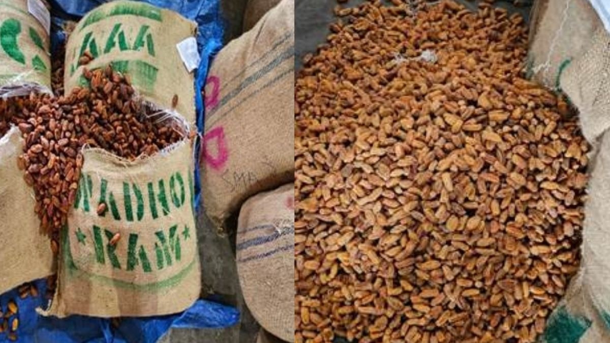 dri seizes Dry dates consignment