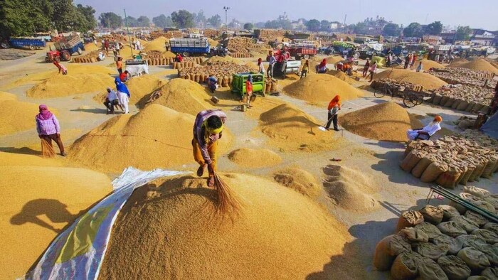 paddy procurement andhra pradesh