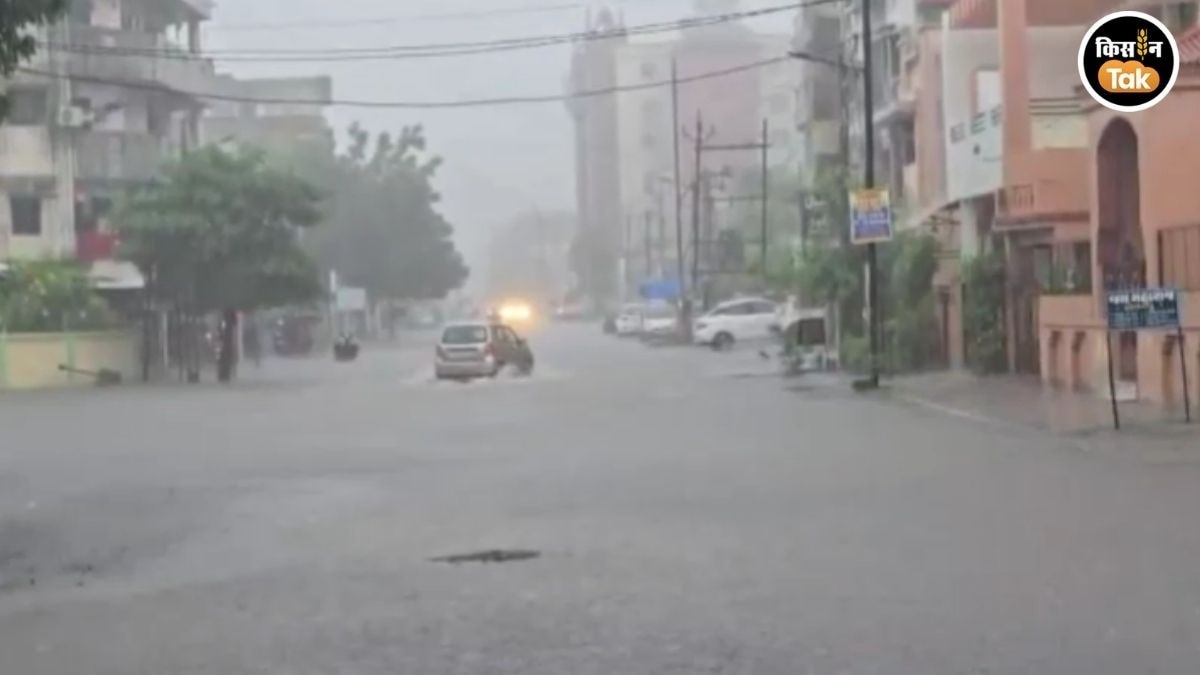 kheda rain
